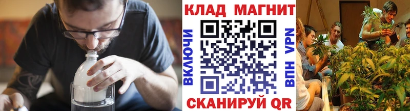 Все наркотики Новая Ладога ГАШ  Метамфетамин  COCAIN  Меф  Бошки Шишки 