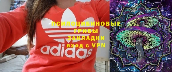 прущий лед Алексин
