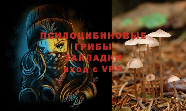 дурь Алексеевка