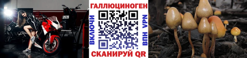 mega зеркало  Новая Ладога  Галлюциногенные грибы MAGIC MUSHROOMS 