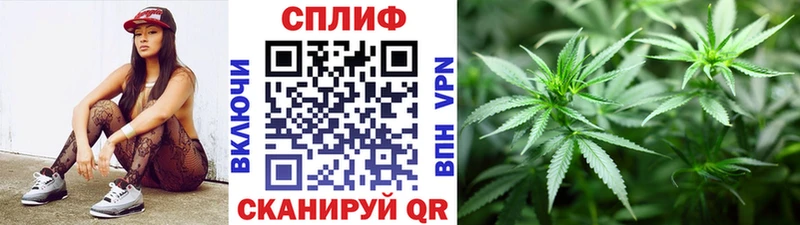 Конопля семена  дарнет шоп  Новая Ладога 